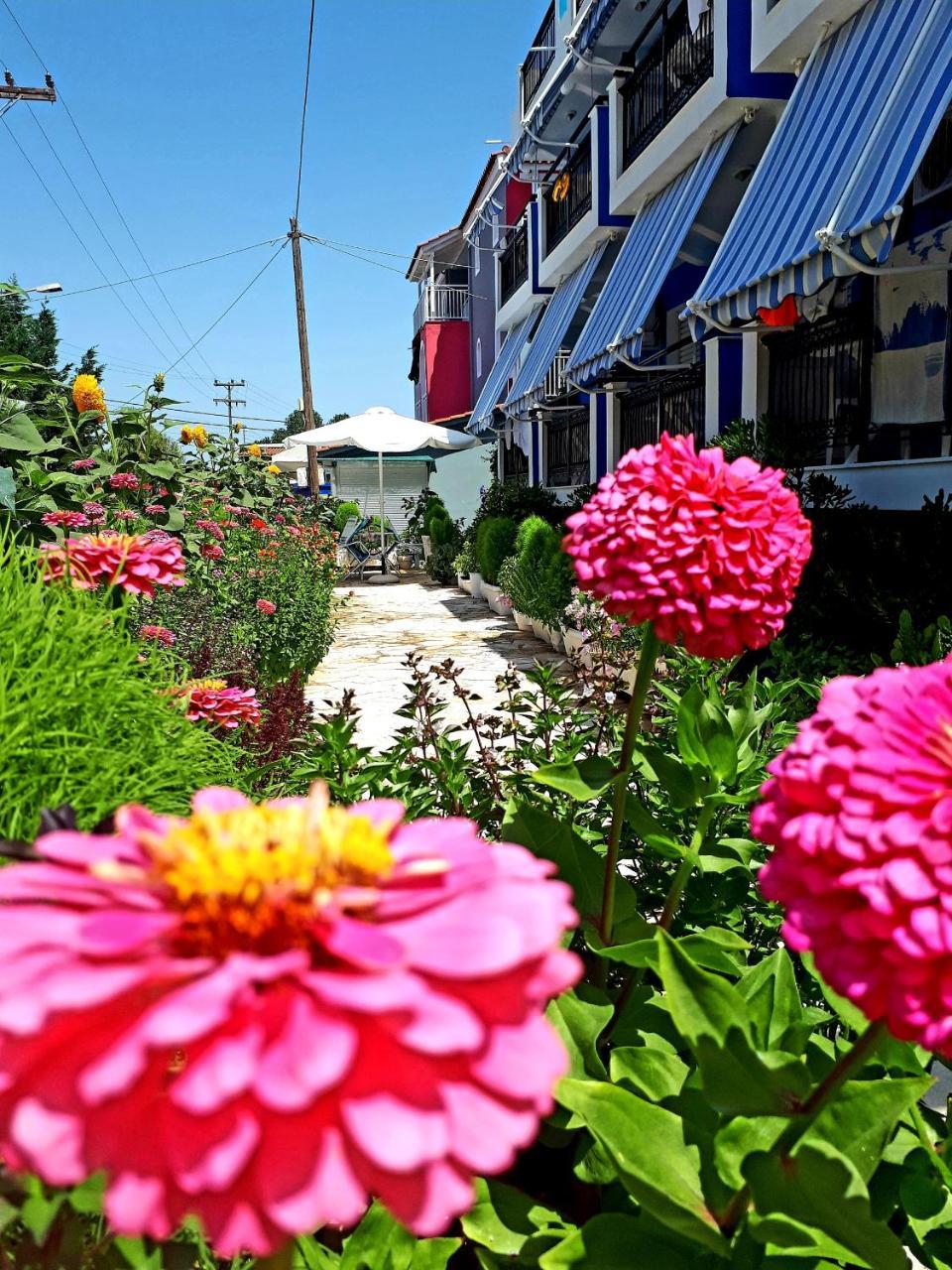 Hotel Zante Dahlia Laganas Exteriér fotografie
