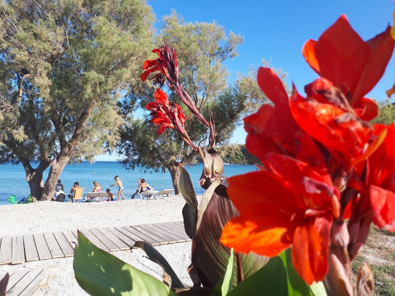 Hotel Zante Dahlia Laganas Exteriér fotografie
