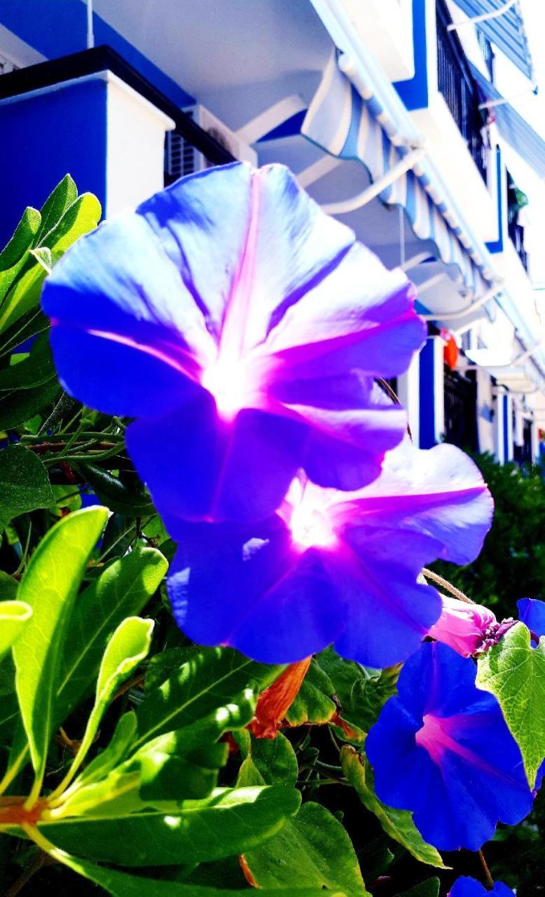 Hotel Zante Dahlia Laganas Exteriér fotografie